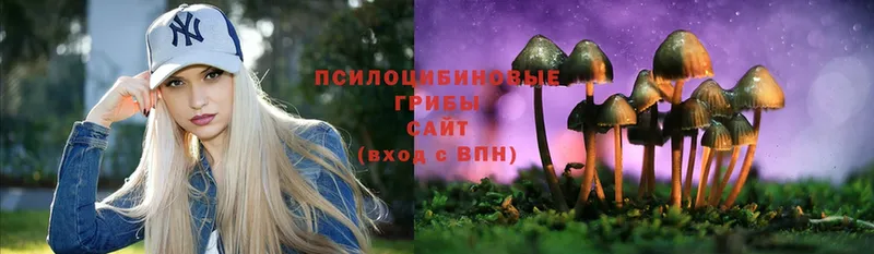 Галлюциногенные грибы Psilocybe Калач-на-Дону